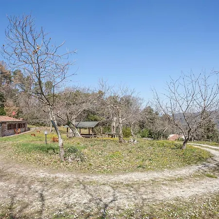 Casa Nel Bosco Sassetta