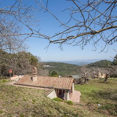 Casa Nel Bosco * Sassetta