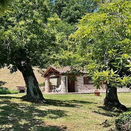Casa Nel Bosco * Sassetta
