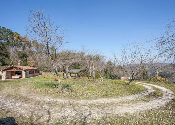 Casa Nel Bosco Sassetta